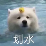 没空做你宝贝