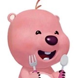 大基硕珍哥