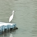 迷妄醜態