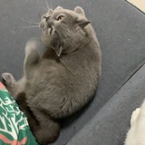 找找找