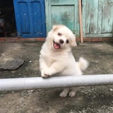 兰心蕙质