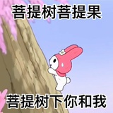 抹茶葡提