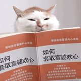 冰西瓜唯粉