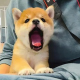 冷圈好冷🥶