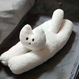 粥圆