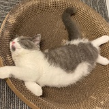 殺了過去的自己