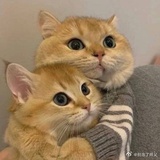 吃瓜群众😋