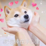 浅墨墨浅