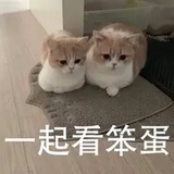 豆友238195916