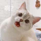 李小福