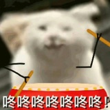 我迪迦在东北