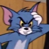 石榴是一只猫