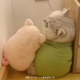 小z