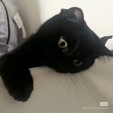 禁止通行