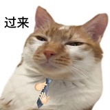 风车车