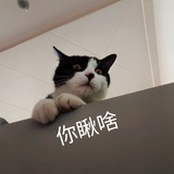 咕咚