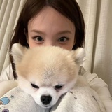 叮叮猫