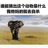 我希望今天能死