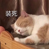 稀里哗啦
