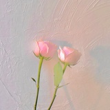 鹿鹿乔