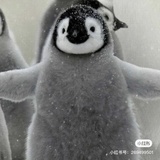 Sususu