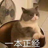 橙子且漂亮666