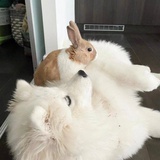 记得要早睡