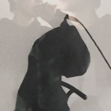 婳