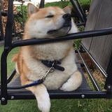 快乐