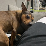 😊