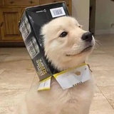 李扯淡