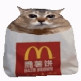 一个脆薯饼