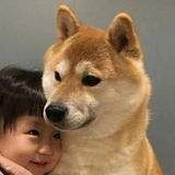 李飞小助理