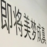 峰岸南