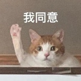 pppp桃子。