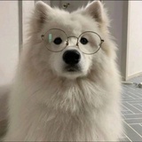 青崖山小机灵鬼