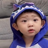 信信