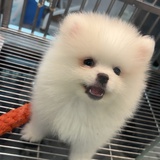变成美女没烦恼