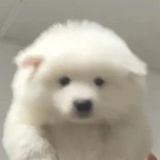 少吃饭多睡觉