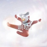 雷欧（已飞踢
