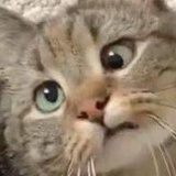 一碗粥