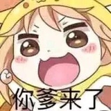 芮芮豹豹