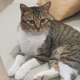 巴赫最爱的小姨