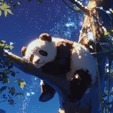三年二班邱晓东