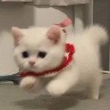 李忘书