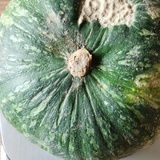 范莲湖