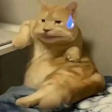 庸人勿扰