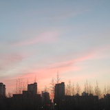 吃虾进行时