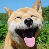 小尼说资质