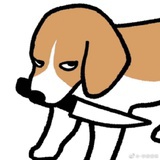 why人要有名字
